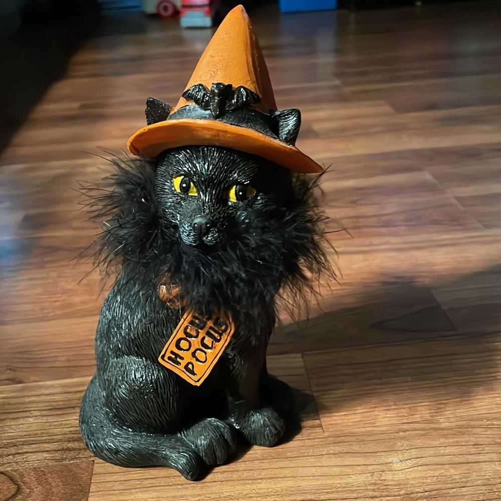 Black cat witch hat - Picture 3 of 5